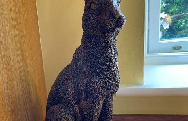 Sunshine Annex-double Bed,ensuite, Lounge, Kitchen - Foto 33