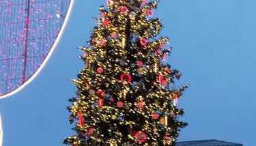 Entre 2 Rives Strasbourg-Kehl - Foto 4