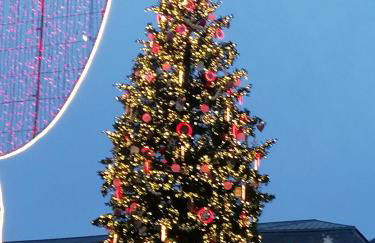 Entre 2 Rives Strasbourg-Kehl - Foto 4