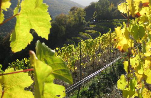 Haus Luzia - Foto 16