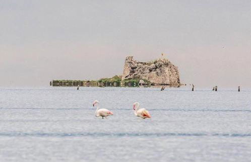 Casa2patis - Foto 48