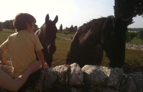 Agriturismo Teatro del grano - Foto 8