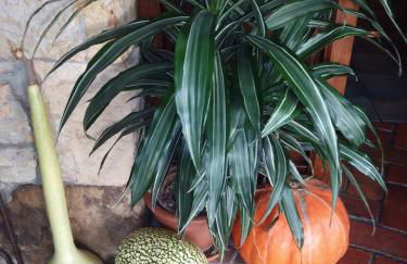 Posada La Llosa de Viveda - Adults Only - Foto 24