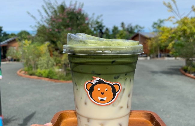 Monkey Cottage - Photo 68