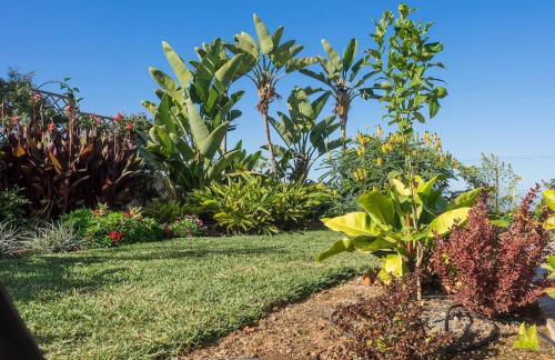 Casa Viña: a spectacular away from it all holiday - Foto 7