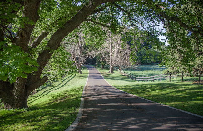 Toorongo Valley Estate - Foto 33