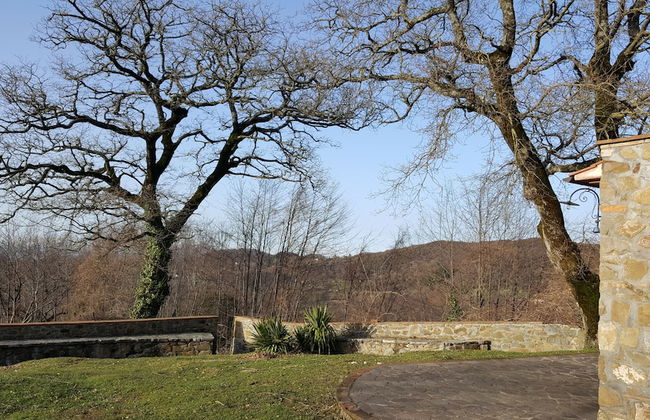 Agriturismo Bio I Rondinelli - Foto 23