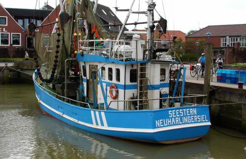 meine-nordsee-fewo - Photo 26