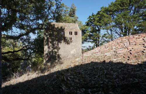 ribeira dos marinheiros azul - Foto 41