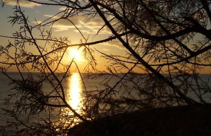 A 20 mt dal mare con ombrellone e sdraio in spiaggia - Foto 23