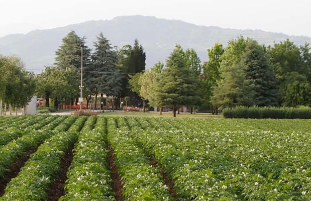 Agriturismo La Borina - Foto 59