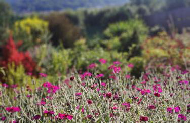 Makowy domek - Foto 35