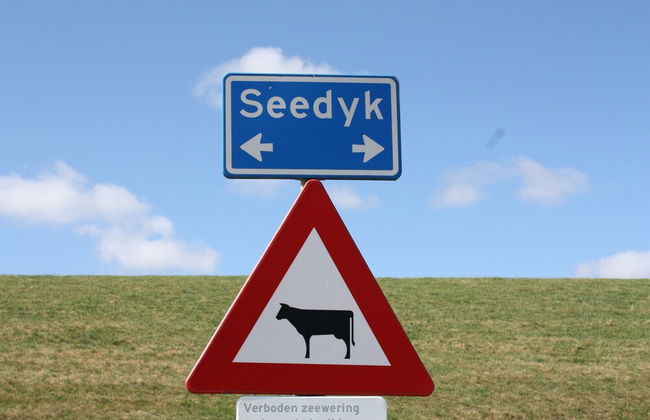 Traditional Villa in Tzummarum near Sea - Foto 33