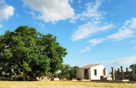 Antica Masseria Scagnito - Foto 5