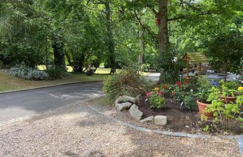 3 Bedroom Lodge Hotub pool in Horsley Surrey UK - Photo 40