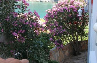 Apartment Zarace - Gdinj 4598a - Foto 11