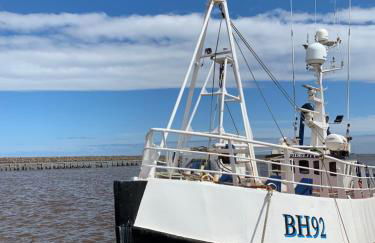 The Anchorage - sea views and beach on doorstep - Photo 27