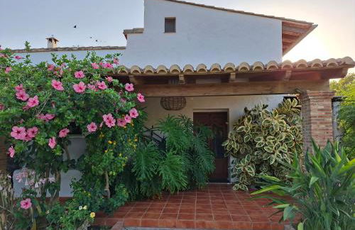 CortijoRamon - Foto 2