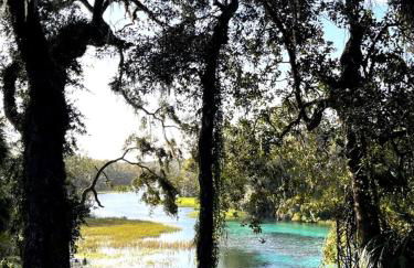 Outstanding Cottage in Dunnellon, Florida - Foto 19