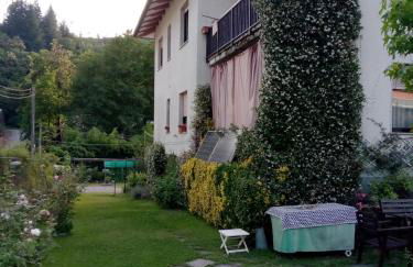 L'Erbetta fra le Cinque Terre e la Val di Vara - Photo 45