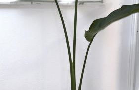 Artistic Loft, Full Of Light - City Center Ruzafa - Foto 44