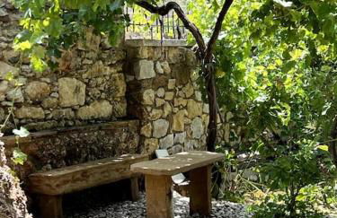 Πέτρινο Αρχοντικό, Χίος - Foto 38