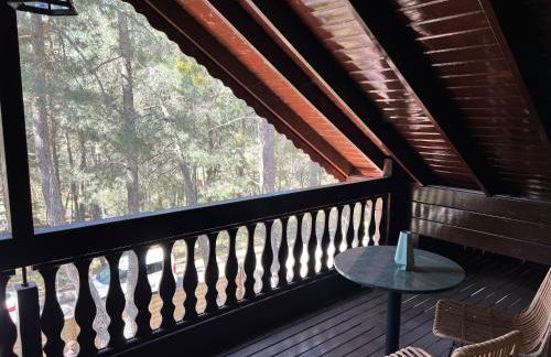 EL BOSQUE ENCANTADO - Photo 29