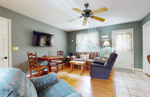 Serene Home Near Douglas Lake Yard Games Grill - Foto 6