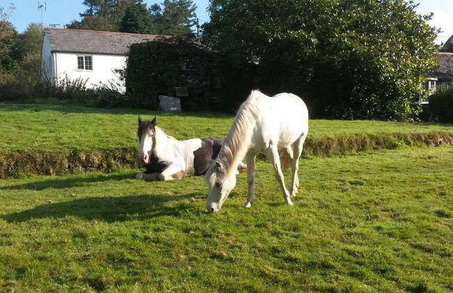 Davy Cottage in the Countryside With Horse Riding - Photo 14