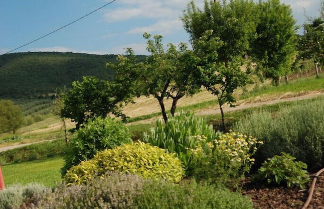 Abbazia Sette Frati Agriturismo Fratres - Photo 35