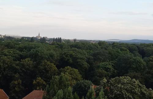 Le Panorama D'Exception-65M2- Parking Privé en Sous-Sol - Foto 21