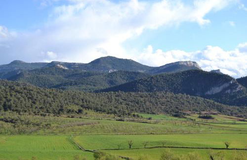 Mas de Salvador - Foto 38