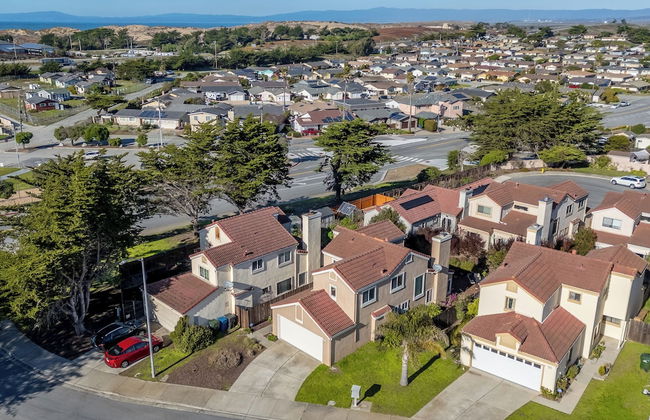 Succulents & Seashells Coastal Paradise by Beach - Foto 30