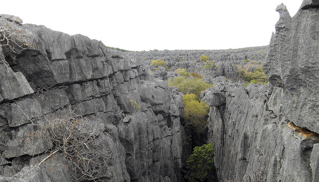 Ankarana National Park - Photo 5