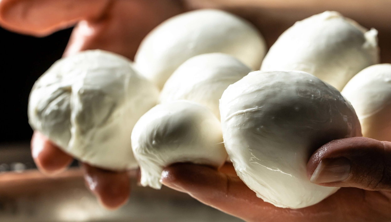 Atelier de préparation de mozzarella à Vico Equense - Photo 1, Atelier de préparation de mozzarella à Vico Equense