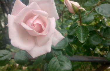 Entre Vignes & Piano "Symphonie" studio 4 personnes - Foto 25