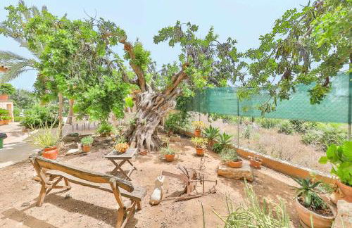 CAN TROBAT - Gran Villa Mallorquina con piscina - Foto 11