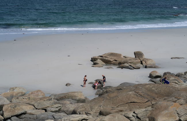 La Glycine - Foto 36