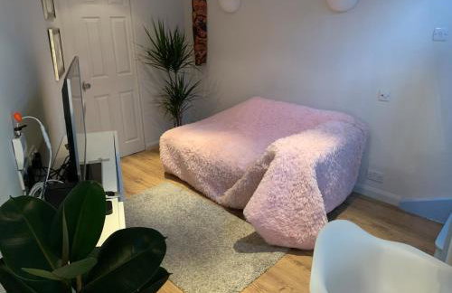 Peaceful London escape Hackney house with private patio - Foto 6