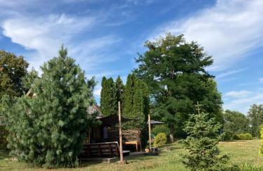 Domek Samice - Foto 63