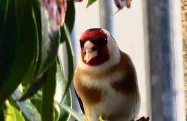 Harbourside - Foto 35