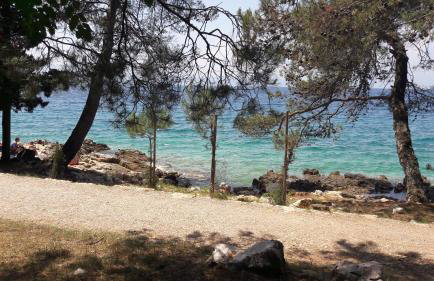 Apartmani Niessner - Foto 53