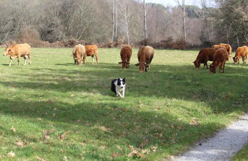 Casa Solveira - Foto 52