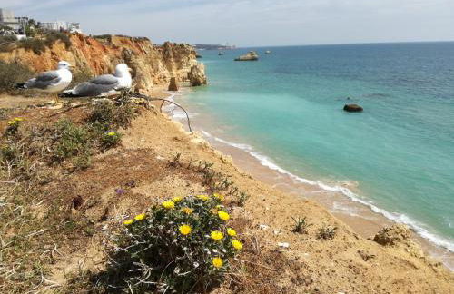 Apartamento Jeni Residencia Flamingo - Photo 42