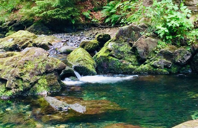 Holiday Home Harzhaus Time out - Photo 28