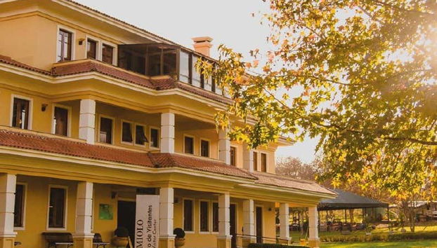 Vale dos Vinhedos Wine Tour - Foto 5