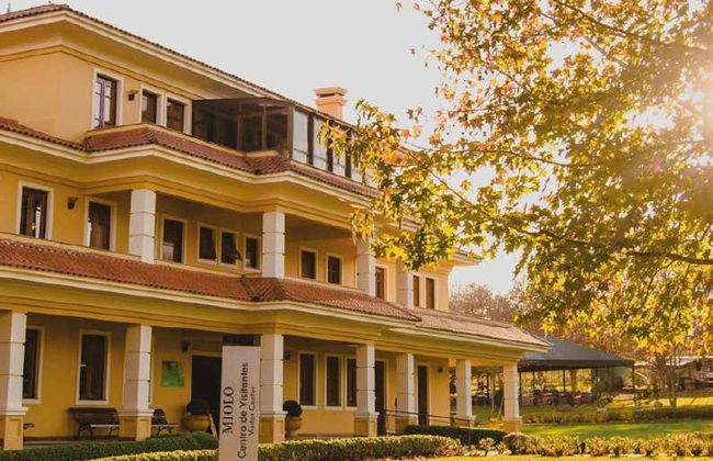 Vale dos Vinhedos Wine Tour - Photo 5