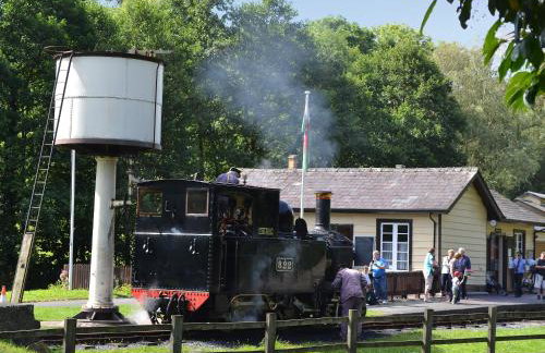 Celyn Bach - Uk37083 - Foto 10