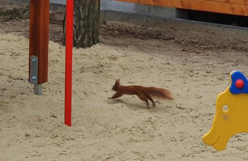 Domki Gromadka - Foto 65