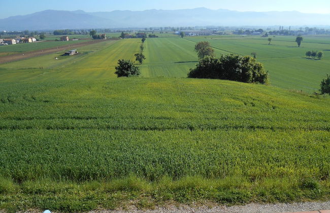 Agriturismo Podere Casenove - Photo 55